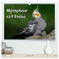 Nymphensittiche (hochwertiger Premium Wandkalender 2024 DIN A2 quer), Kunstdruck in Hochglanz