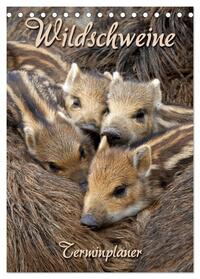 Wildschweine (Tischkalender 2024 DIN A5 hoch), CALVENDO Monatskalender