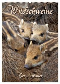 Wildschweine (Wandkalender 2024 DIN A2 hoch), CALVENDO Monatskalender