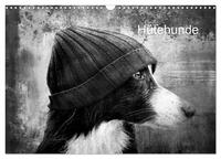 Hütehunde (Wandkalender 2024 DIN A3 quer), CALVENDO Monatskalender