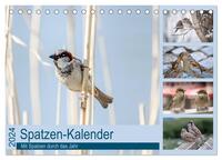Spatzen-Kalender (Tischkalender 2024 DIN A5 quer), CALVENDO Monatskalender