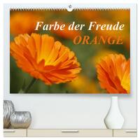 ORANGE – Farbe der Freude (hochwertiger Premium Wandkalender 2024 DIN A2 quer), Kunstdruck in Hochglanz