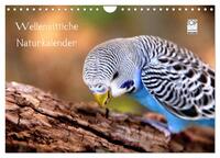 Wellensittiche - Naturkalender (Wandkalender 2024 DIN A4 quer), CALVENDO Monatskalender