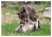 Meister Isegrim (Wandkalender 2024 DIN A3 quer), CALVENDO Monatskalender