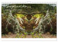 Spiegelwelten - Natur anders sehen (Wandkalender 2024 DIN A4 quer), CALVENDO Monatskalender