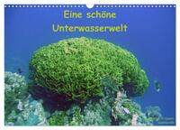 Eine schöne Unterwasserwelt (Wandkalender 2024 DIN A3 quer), CALVENDO Monatskalender