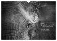 Emotionale Momente: Elefanten in black & white (Wandkalender 2024 DIN A3 quer), CALVENDO Monatskalender
