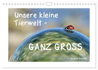 Unsere kleine Tierwelt - GANZ GROSS (Wandkalender 2024 DIN A4 quer), CALVENDO Monatskalender