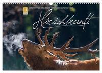 Emotionale Momente: Hirschbrunft (Wandkalender 2024 DIN A3 quer), CALVENDO Monatskalender