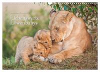 Emotionale Momente: Liebenswerte Löwenbabys (Wandkalender 2024 DIN A3 quer), CALVENDO Monatskalender