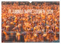 Flamingo Impressionen 2024 (Wandkalender 2024 DIN A3 quer), CALVENDO Monatskalender