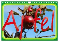 Apfel (Wandkalender 2024 DIN A4 quer), CALVENDO Monatskalender