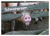 Schweinereien (Wandkalender 2024 DIN A2 quer), CALVENDO Monatskalender