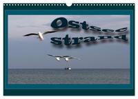 Ostsee-Strand (Wandkalender 2024 DIN A3 quer), CALVENDO Monatskalender
