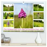 Orchideenzeit auf der Schwäbischen Alb (hochwertiger Premium Wandkalender 2024 DIN A2 quer), Kunstdruck in Hochglanz
