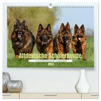 Altdeutsche Schäferhunde - Traumhafte Schäferhunde Langstockhaar (hochwertiger Premium Wandkalender 2024 DIN A2 quer), Kunstdruck in Hochglanz