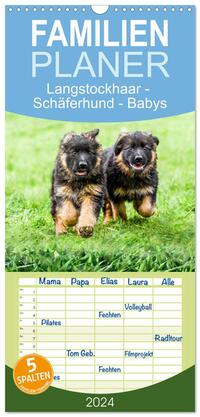 Familienplaner 2024 - Langstockhaar - Schäferhund - Babys mit 5 Spalten (Wandkalender, 21 x 45 cm) CALVENDO