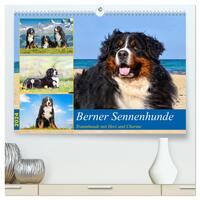 Berner Sennenhunde - Traumhunde mit Charme (hochwertiger Premium Wandkalender 2024 DIN A2 quer), Kunstdruck in Hochglanz