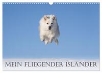 Mein fliegender Isländer (Wandkalender 2024 DIN A3 quer), CALVENDO Monatskalender