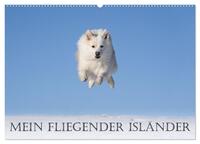 Mein fliegender Isländer (Wandkalender 2024 DIN A2 quer), CALVENDO Monatskalender