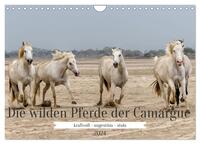 Die wilden Pferde der Camargue (Wandkalender 2024 DIN A4 quer), CALVENDO Monatskalender