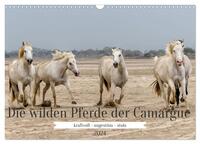 Die wilden Pferde der Camargue (Wandkalender 2024 DIN A3 quer), CALVENDO Monatskalender