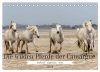 Die wilden Pferde der Camargue (Tischkalender 2024 DIN A5 quer), CALVENDO Monatskalender
