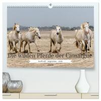 Die wilden Pferde der Camargue (hochwertiger Premium Wandkalender 2024 DIN A2 quer), Kunstdruck in Hochglanz