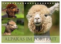 Alpakas im Portrait (Tischkalender 2024 DIN A5 quer), CALVENDO Monatskalender