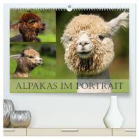 Alpakas im Portrait (hochwertiger Premium Wandkalender 2024 DIN A2 quer), Kunstdruck in Hochglanz