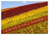 Farbenprächtige Weinberge (Wandkalender 2024 DIN A4 quer), CALVENDO Monatskalender