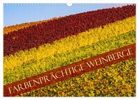 Farbenprächtige Weinberge (Wandkalender 2024 DIN A3 quer), CALVENDO Monatskalender