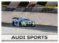 Audi Sports (Wandkalender 2024 DIN A2 quer), CALVENDO Monatskalender
