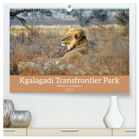 Kgalagadi - Fauna und Wildtiere in der Kalahari (hochwertiger Premium Wandkalender 2024 DIN A2 quer), Kunstdruck in Hochglanz