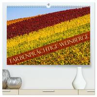 Farbenprächtige Weinberge (hochwertiger Premium Wandkalender 2024 DIN A2 quer), Kunstdruck in Hochglanz