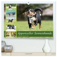 Appenzeller Sennenhunde - Fröhliche Kameraden (hochwertiger Premium Wandkalender 2024 DIN A2 quer), Kunstdruck in Hochglanz