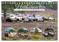 Heidschnucken, die prächtigen Schafe der Lüneburger Heide (Tischkalender 2024 DIN A5 quer), CALVENDO Monatskalender