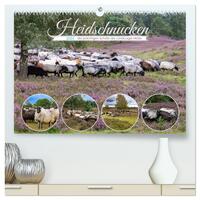Heidschnucken, die prächtigen Schafe der Lüneburger Heide (hochwertiger Premium Wandkalender 2024 DIN A2 quer), Kunstdruck in Hochglanz
