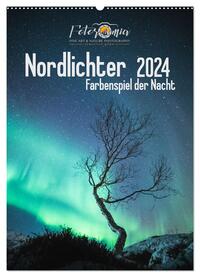 Nordlichter – Farbenspiel der Nacht (Wandkalender 2024 DIN A2 hoch), CALVENDO Monatskalender