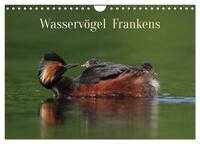 Wasservögel Frankens (Wandkalender 2024 DIN A4 quer), CALVENDO Monatskalender