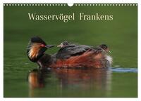 Wasservögel Frankens (Wandkalender 2024 DIN A3 quer), CALVENDO Monatskalender