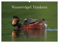 Wasservögel Frankens (Wandkalender 2024 DIN A2 quer), CALVENDO Monatskalender