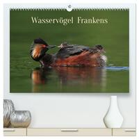 Wasservögel Frankens (hochwertiger Premium Wandkalender 2024 DIN A2 quer), Kunstdruck in Hochglanz