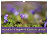 Wenn im Frühling die Natur wieder erwacht (Wandkalender 2025 DIN A3 quer), CALVENDO Monatskalender