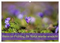 Wenn im Frühling die Natur wieder erwacht (Wandkalender 2025 DIN A2 quer), CALVENDO Monatskalender