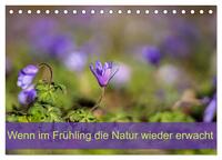 Wenn im Frühling die Natur wieder erwacht (Tischkalender 2025 DIN A5 quer), CALVENDO Monatskalender