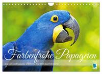 Farbenfrohe Papageien (Wandkalender 2025 DIN A4 quer), CALVENDO Monatskalender