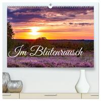 Im Blütenrausch der Lüneburger Heide (hochwertiger Premium Wandkalender 2025 DIN A2 quer), Kunstdruck in Hochglanz