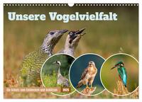 Unsere Vogelvielfalt: Ein Schatz zum Entdecken und Schützen (Wandkalender 2025 DIN A3 quer), CALVENDO Monatskalender