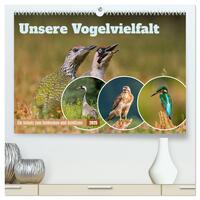 Unsere Vogelvielfalt: Ein Schatz zum Entdecken und Schützen (hochwertiger Premium Wandkalender 2025 DIN A2 quer), Kunstdruck in Hochglanz